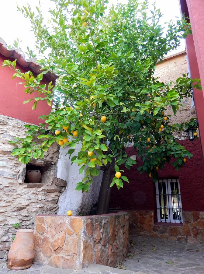 Casa Rural La Perra Gorda Сорита Экстерьер фото